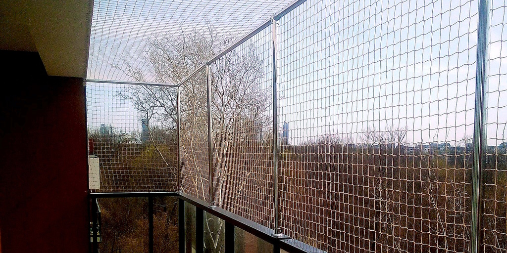 Siatki dla Kota, Warszawa