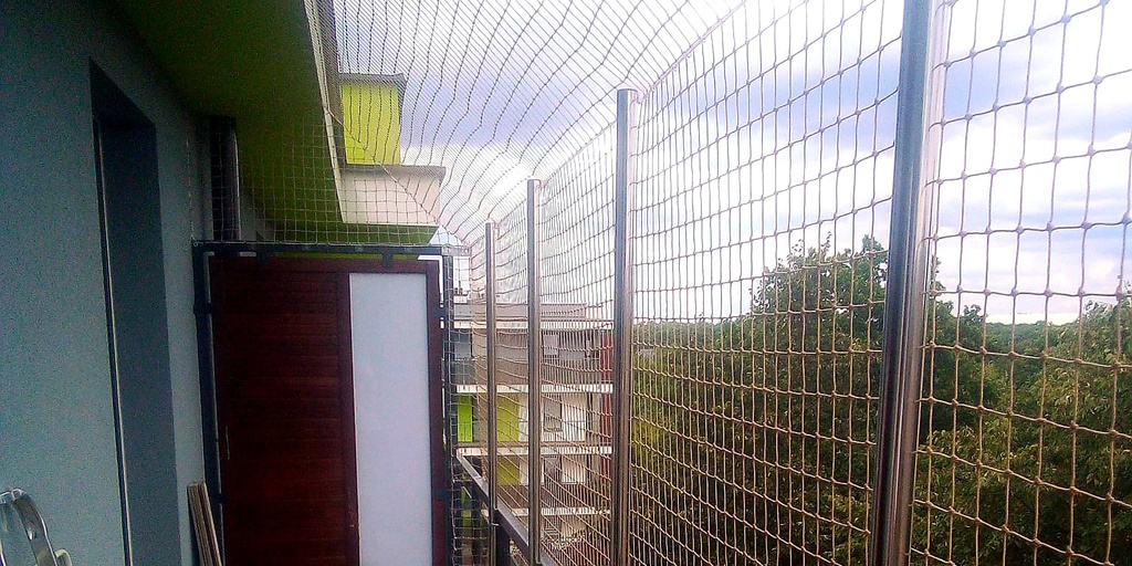 Siatki dla Kota, Warszawa